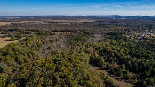 Lot 3 Roland Woods, Hwy 300, Home with 0 bedrooms, 0 bathrooms and null parking in Roland AR | Image 7