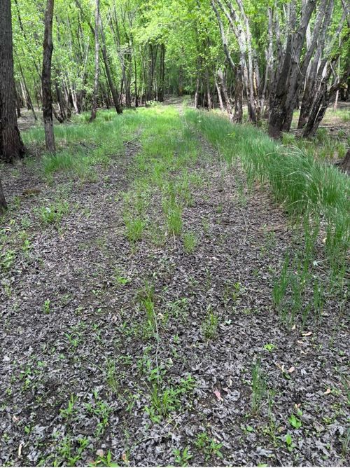 1995 Royal Heights Ln, Braham, MN, 55006-2706 | Card Image