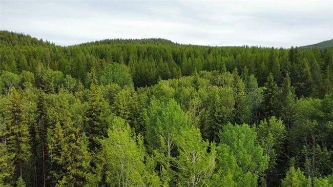 20 acres from above the main gate | Image 137