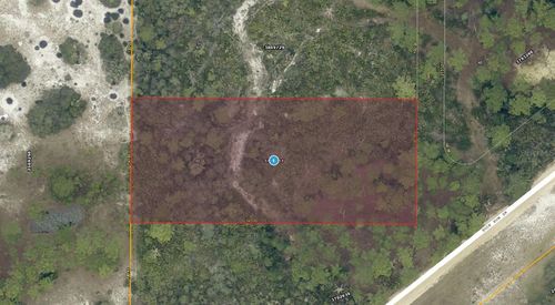 28-17-28-0004-000-03100 Buck Run Drive, Paisley, FL, 32767 | Card Image