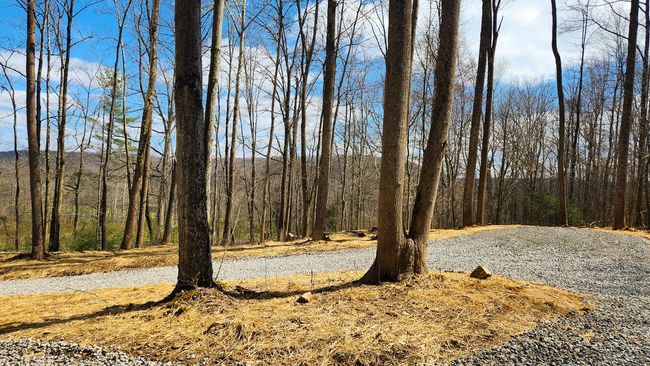 TRACT-1-PIKE-LAKE-GETAWA - 0 Pike Lake Rd, Home with 0 bedrooms, 0 bathrooms and null parking in Bainbridge OH | Image 12
