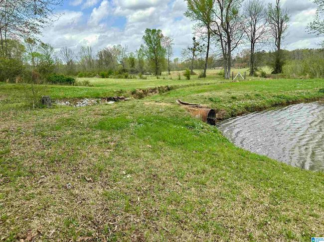 12325 Us Highway 411 N, House other with 3 bedrooms, 3 bathrooms and null parking in Centre AL | Image 45