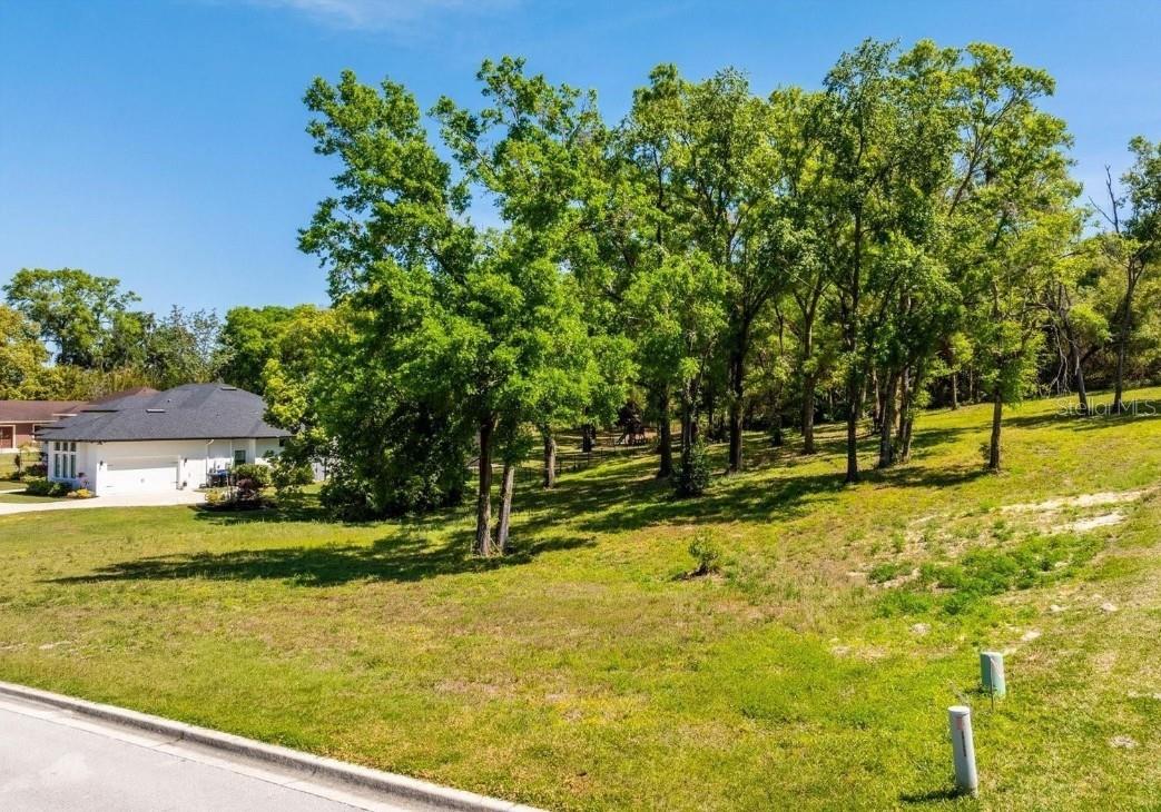 Land in MOUNT DORA 4