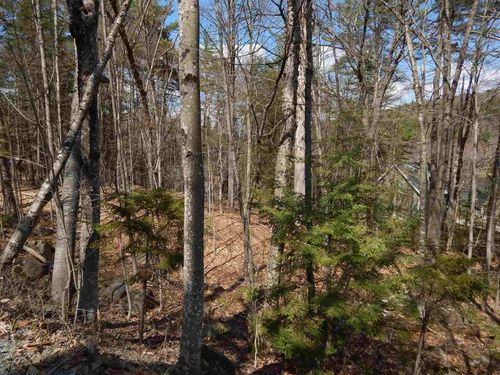 Lot 61 Hilltop Dr, Newbury, NH, 03255-5612 | Card Image