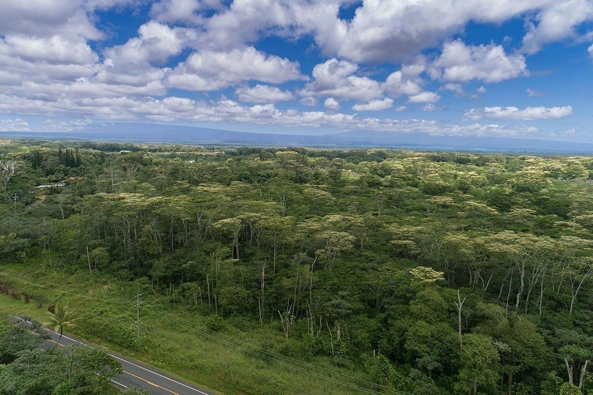 Land in Pahoa 3