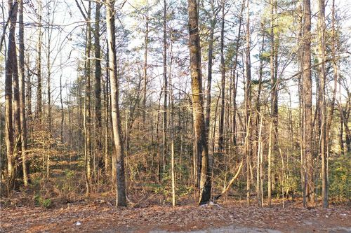 611 The Bear Blvd, Tamassee, SC, 29686-2415 | Card Image
