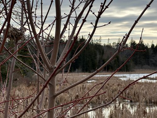 Lot #10 Ridge Road, Saint George, ME, 04860 | Card Image