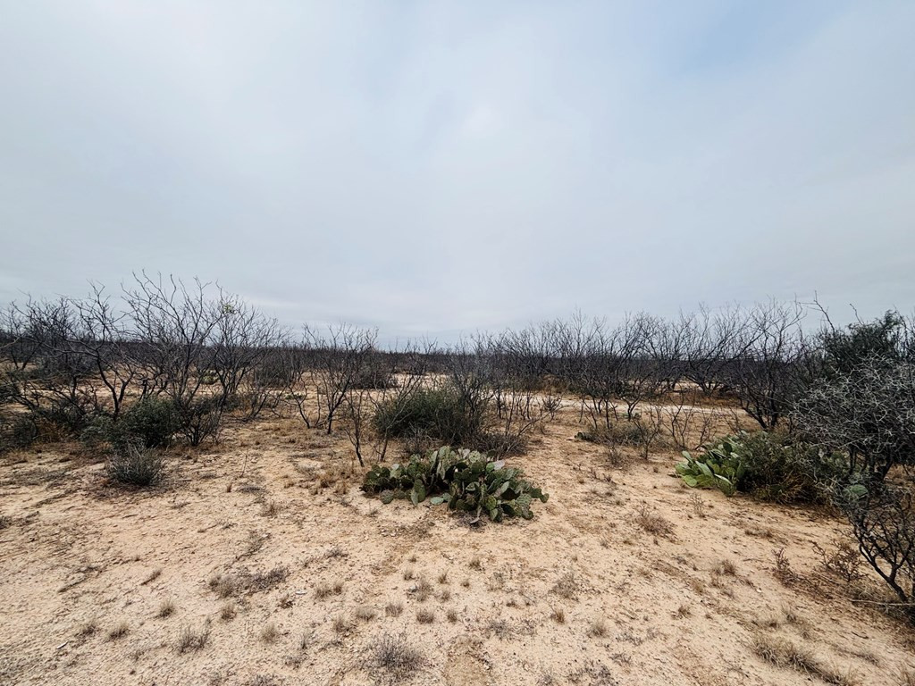 Land in San Angelo 5