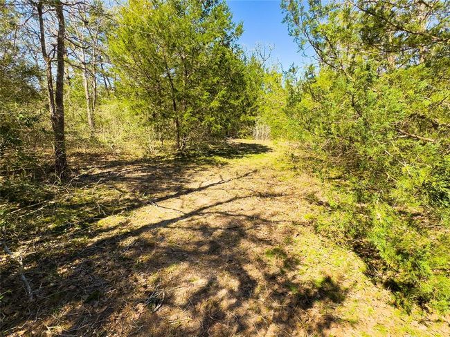 1800 Big Berry Rd, Home with 0 bedrooms, 0 bathrooms and null parking in Somerville TX | Image 4