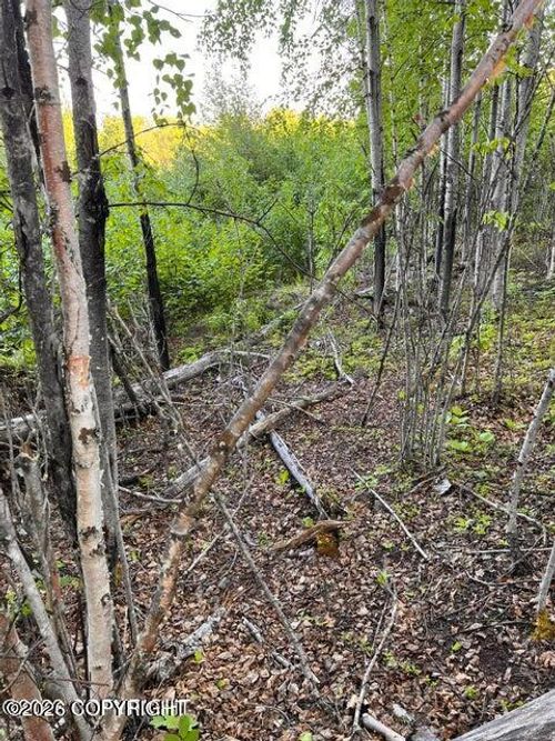 13957 W Aero Ln, Big Lake, AK, 99623 | Card Image