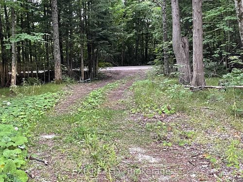 0 Tiffen Rd, Marmora, ON, K0K2M0 | Card Image