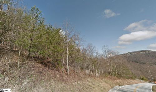 45 Foggy Cut Ln, Landrum, SC, 29356-3135 | Card Image