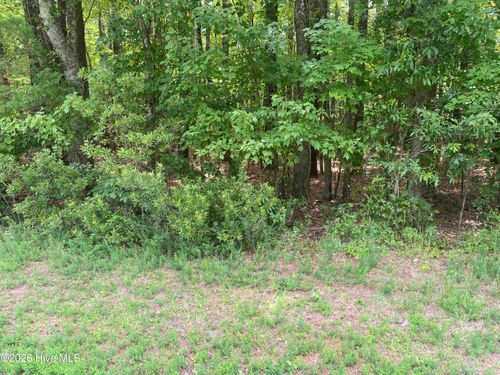 Lot 20 Hollis Dr, Blounts Creek, NC, 27814-9775 | Card Image