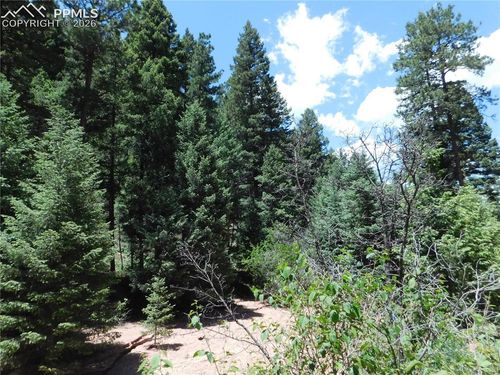 13175 Spruce Creek Cir, Larkspur, CO, 80118-6643 | Card Image