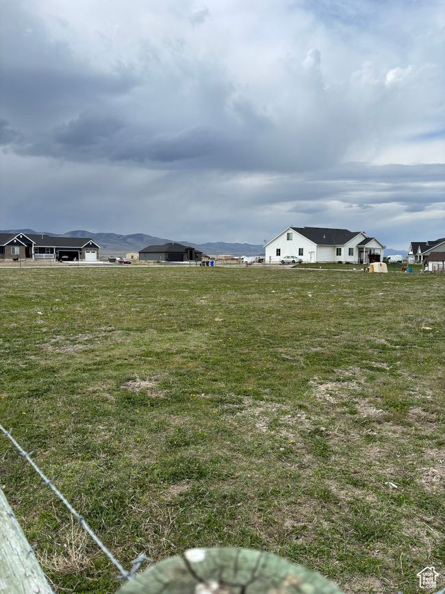 View of yard | Image 6
