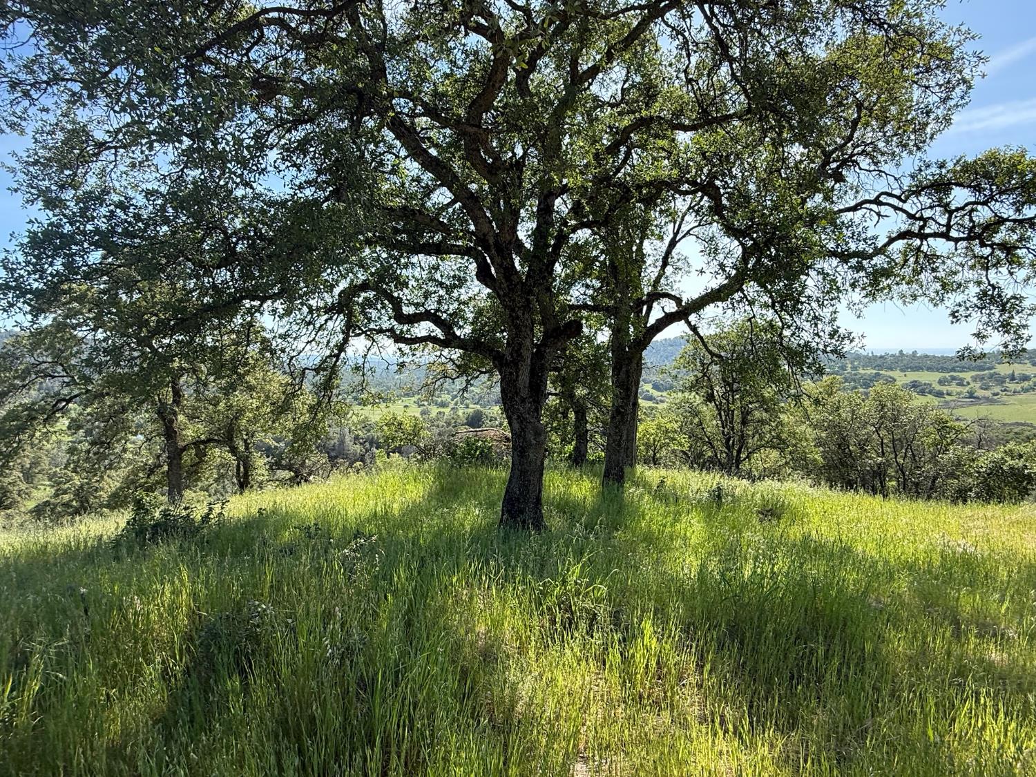 Land in Smartsville 5