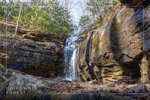 53/65B Cullowhee Forest Road, Cullowhee, NC, 28723 | Card Image