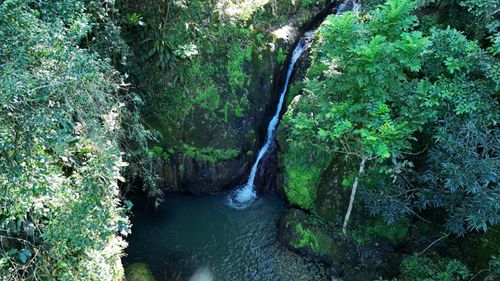 66-RD 782 Km, Cidra, PR, 00739 | Card Image