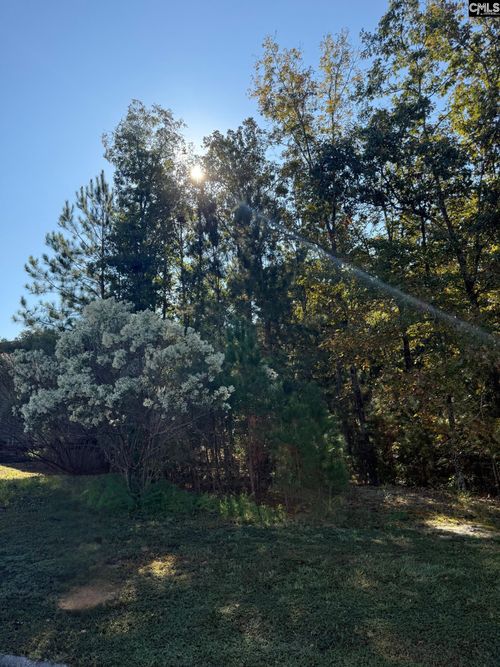 761 Carolina Aster Dr, Blythewood, SC, 29016-7648 | Card Image