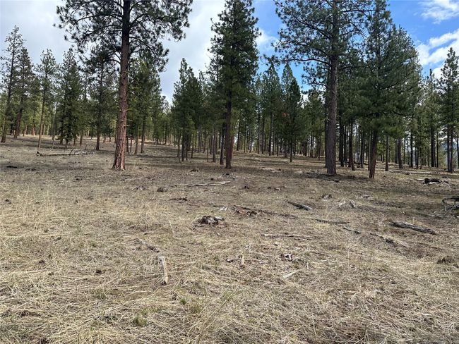 31760 Old Highway 10 W, Home with 0 bedrooms, 0 bathrooms and null parking in Alberton MT | Image 18