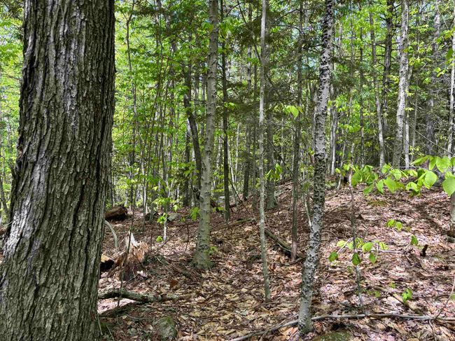 0 Snell Rd, Home with 0 bedrooms, 0 bathrooms and null parking in Chester VT | Image 16