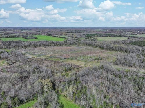 90 +/- ACRES County Road 39, Mount Hope, AL, 35651 | Card Image