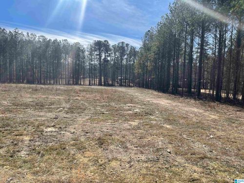 9-89 Golden Pond Rd, ASHVILLE, AL, 35953-4576 | Card Image