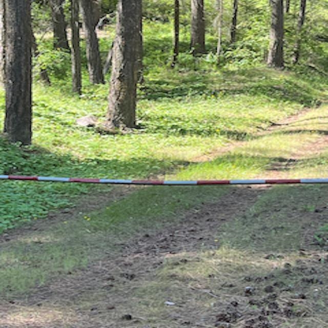 Land in Davenport 4