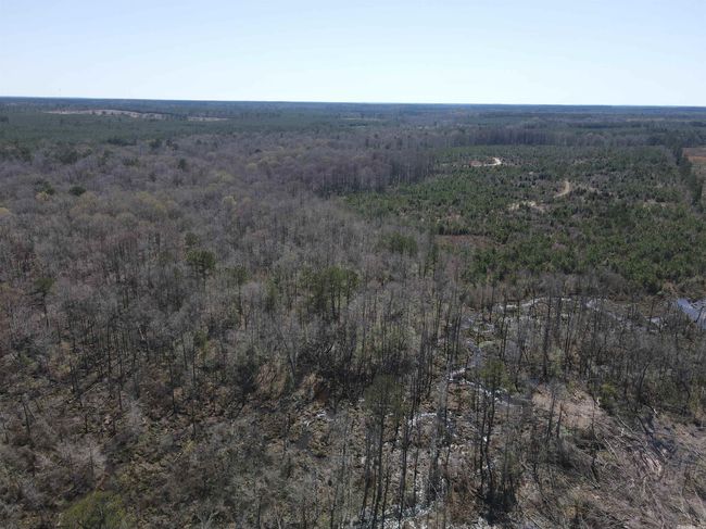 00 Highway 278 Highway, Home with 0 bedrooms, 0 bathrooms and null parking in Rosston AR | Image 24