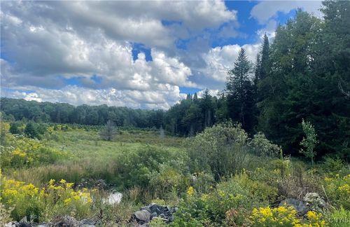 0 Harris Rd, Constableville, NY, 13325 | Card Image