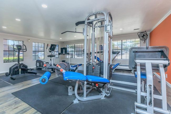 Model Image | Image 18