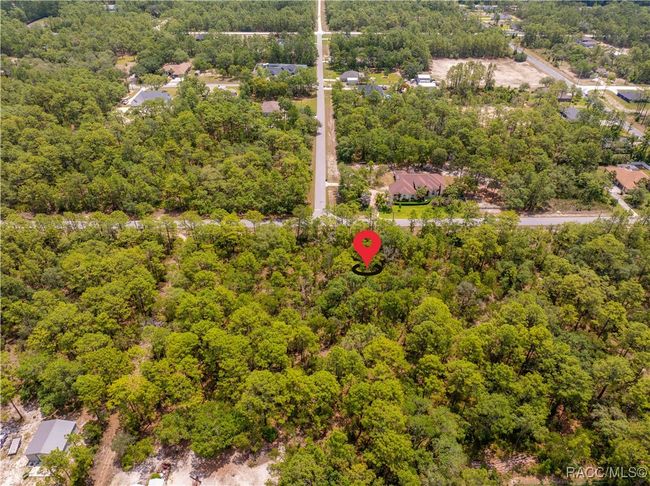 16240 Mount Sparrow Rd, Home with 0 bedrooms, 0 bathrooms and null parking in Weeki Wachee FL | Image 7