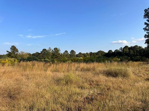 TBD County Road 4210, Simms, TX, 75574 | Card Image