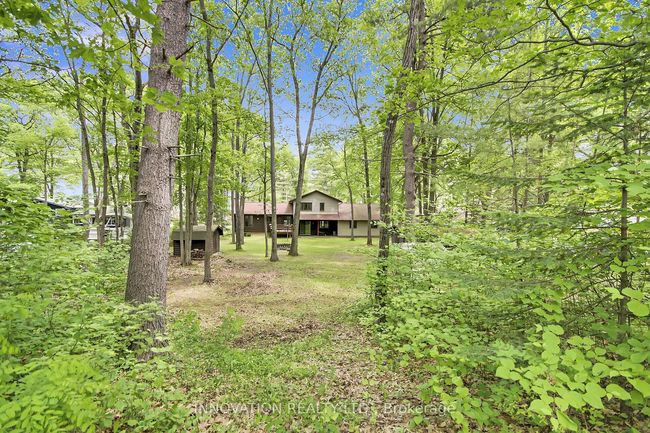 181 Baillie Ave, House other with 3 bedrooms, 3 bathrooms and 8 parking in Woodlawn ON | Image 42
