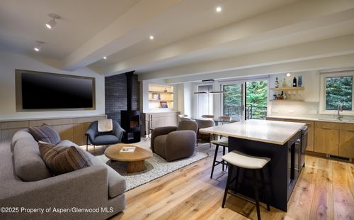 14a-1039 E Cooper Avenue, Aspen, CO, 81611 | Card Image