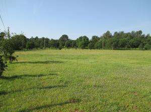 Land in Palo Cedro 2