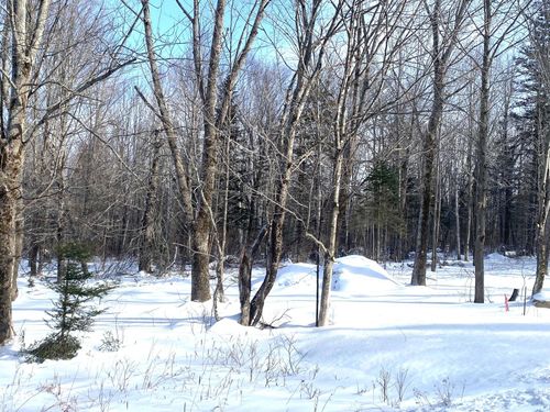 lot-2-47 Greenville Road, Shirley, ME, 04485 | Card Image