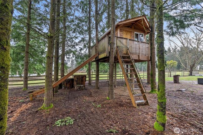 Magnificent Tree House | Image 30