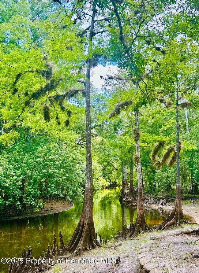 8732 County Road 647, House other with 3 bedrooms, 1 bathrooms and null parking in Bushnell FL | Image 58
