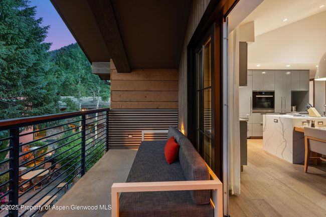 F10-1-10 - 550 S Spring St, Condo with 3 bedrooms, 4 bathrooms and 1 parking in Aspen CO | Image 45