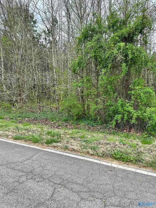 Lot 13 West Limestone School Road, Lester, AL, 35647 | Card Image