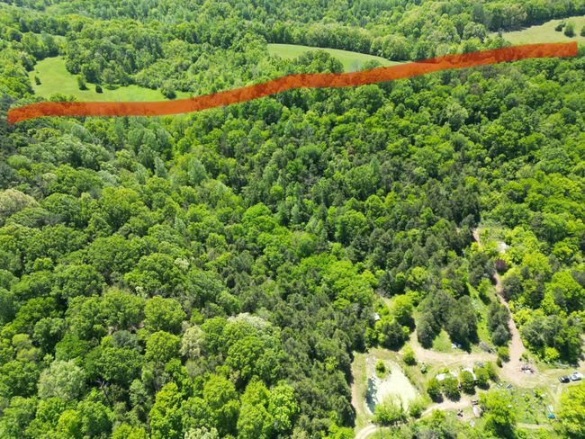 66 Thompson Hollow Rd, Home with 0 bedrooms, 0 bathrooms and null parking in Taft TN | Image 14