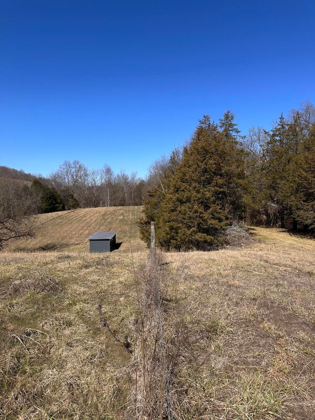 265 - 24265 S Mohawk Rd, Home with 0 bedrooms, 0 bathrooms and null parking in Mohawk TN | Image 32