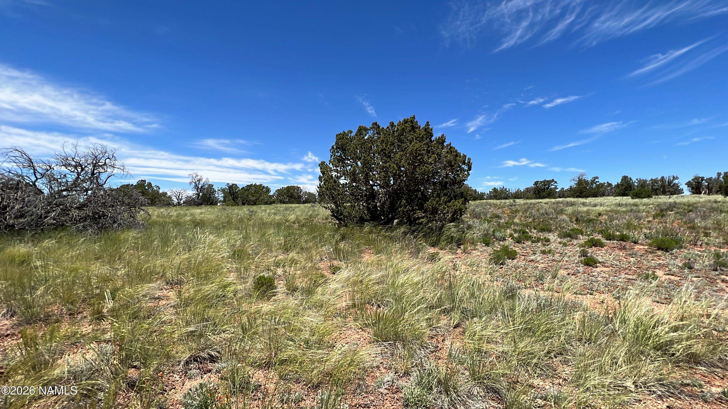 Land in Williams 5