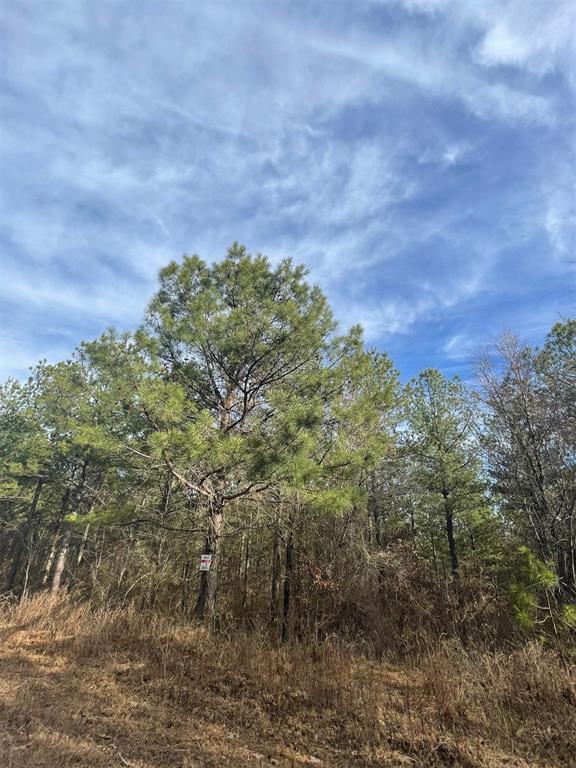 Land in Broken Bow