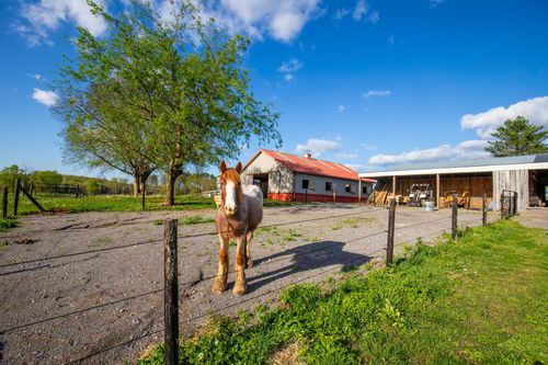 501 Burnt Hill Rd, Unionville, TN, 37180-8606 | Card Image