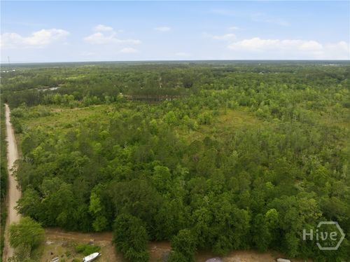 0 Williamson Road, Allenhurst, GA, 31301 | Card Image