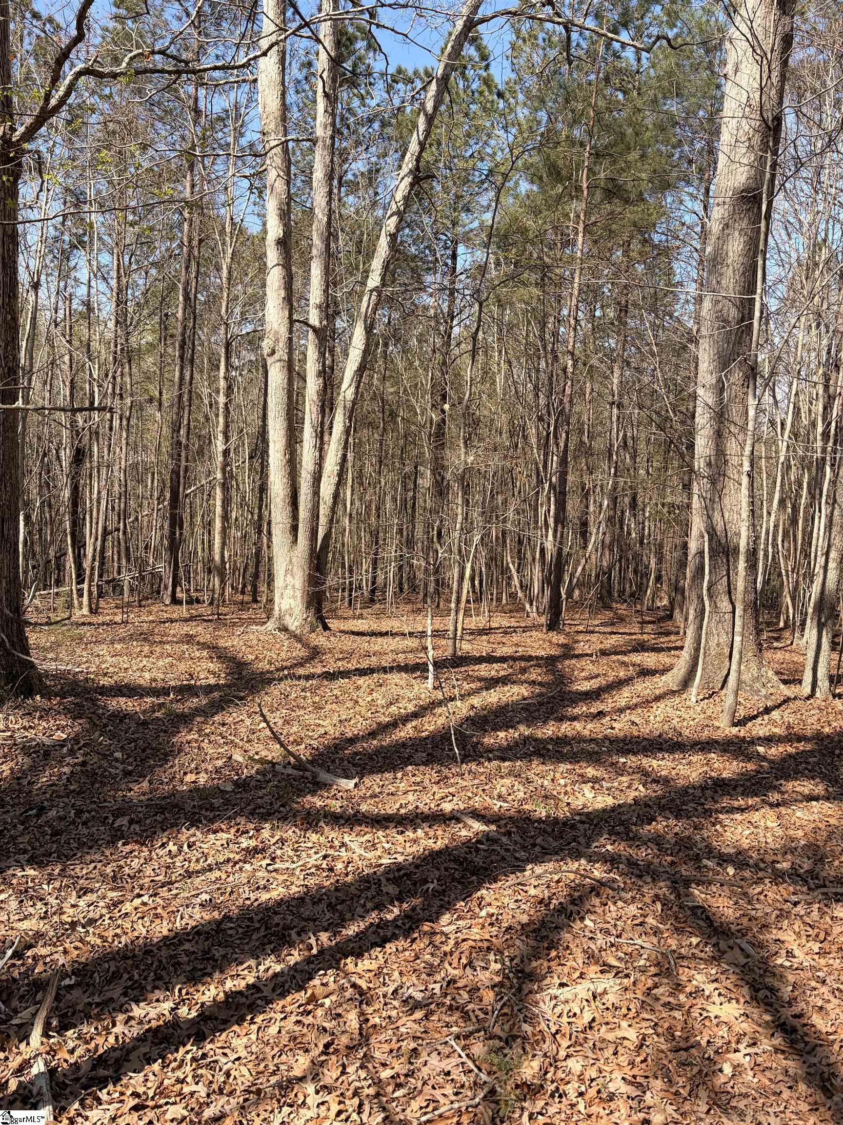 Land in Clinton 2