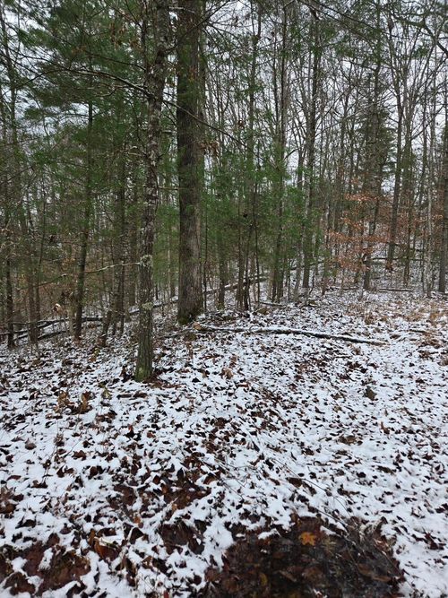 Lot 31 Sunset Ridge Rd, Campton, KY, 41301 | Card Image