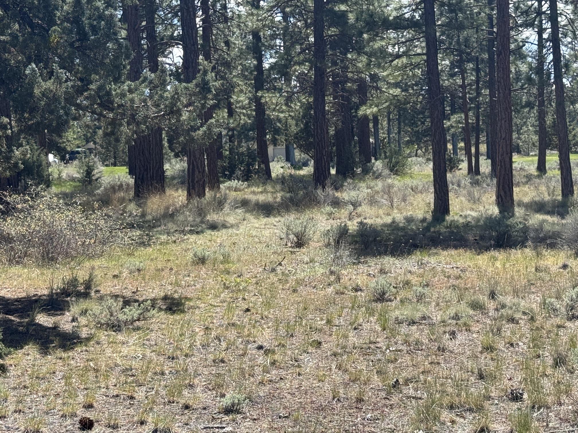 Land in Weed 3